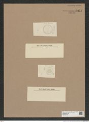 Cyclostella sp. (de-Toni-Nr.: Genus 216) Zeichnungen Sammlung Grunow Nr. 9354 (NHMW-BOT-W0379179)
